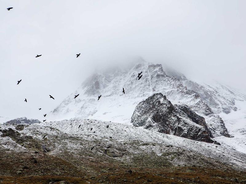 sudoku brain exercise screenshot 4